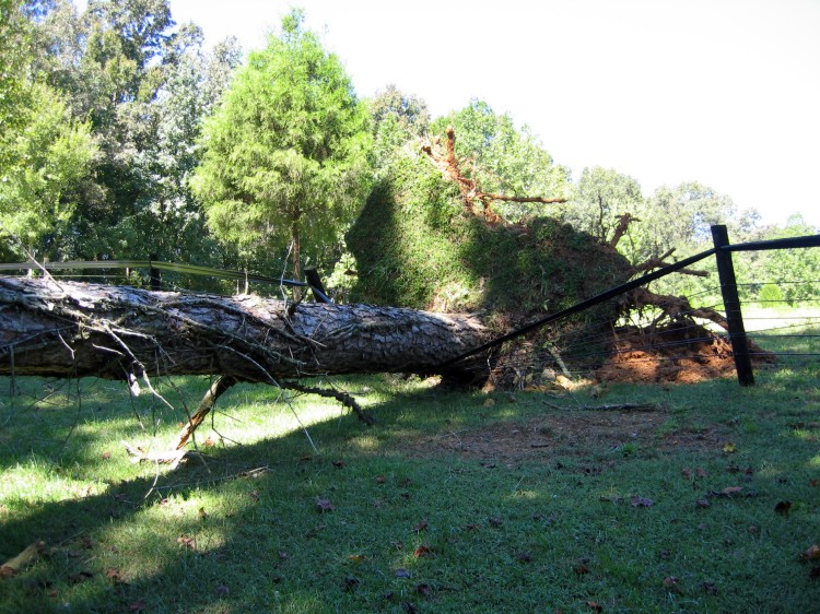 743425135_hurricane ivan damage 004.jpg